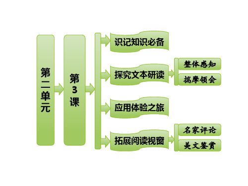 《炮兽》教学PPT课件(人教版(新课程标准))(1)