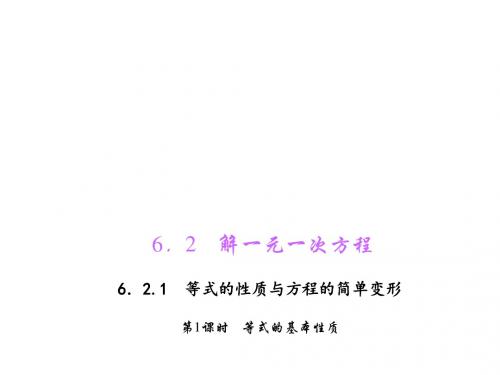 七年级数学下册第6章一元一次方程6.2解一元一次方程6.2.1等式的性质与方程的简单变形第1课时等式