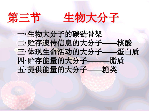 【高中生物】生物大分子ppt