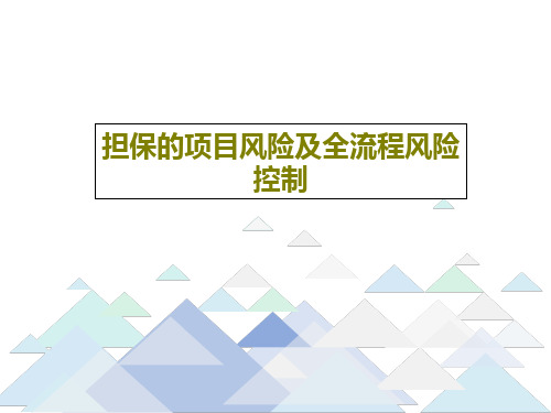 担保的项目风险及全流程风险控制共50页