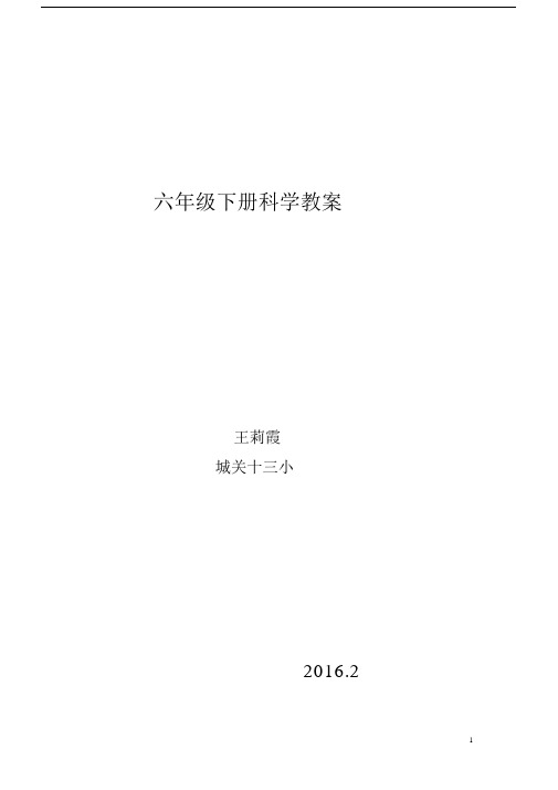 (完整版)大象版六年级科学下册教案设计.doc