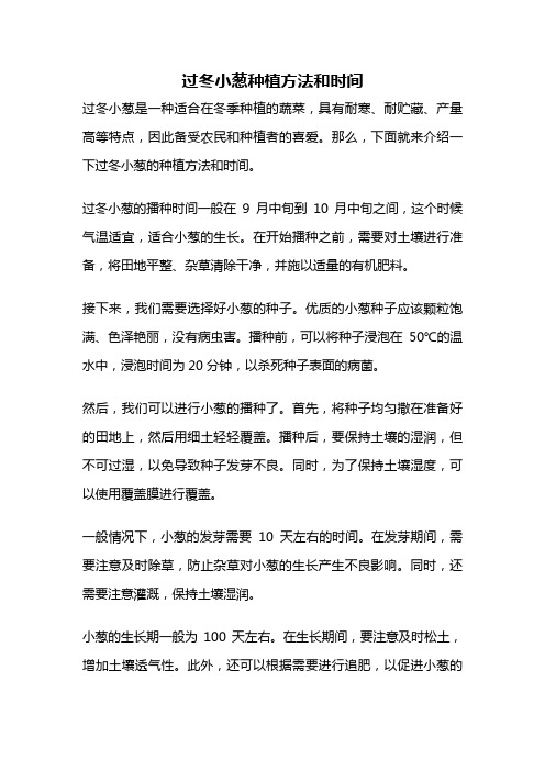 过冬小葱种植方法和时间