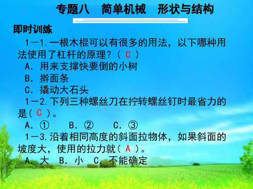 新版六年级科学下册PPT课件小升初专题复习专题八简单机械形状与结构教科版(共12张)