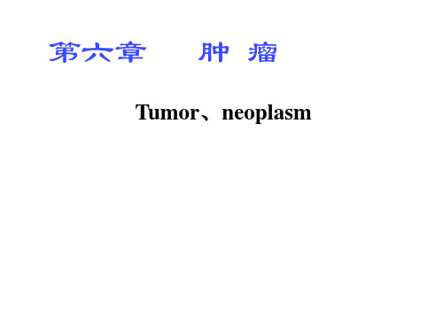 【病理学】19 第六章 肿瘤-肿瘤的异型性