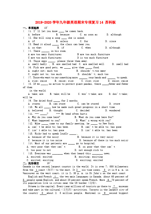 2019-2020学年九年级英语期末专项复习14 苏科版