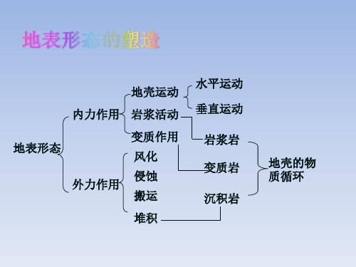 地球早期的演化和地质年代-岩层和化石