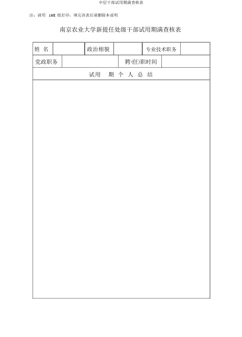 中层干部试用期满考核表