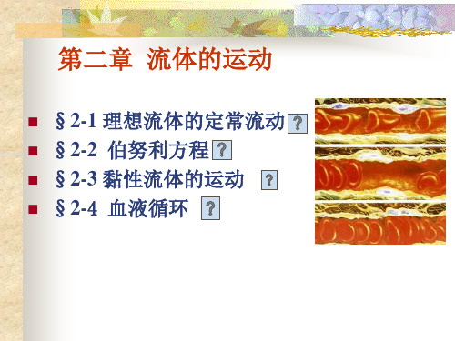 第二章 流体的运动