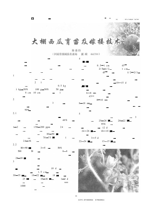 大棚西瓜育苗及嫁接技术