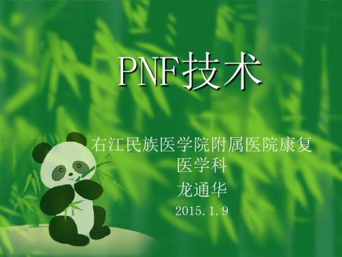 PNF技术