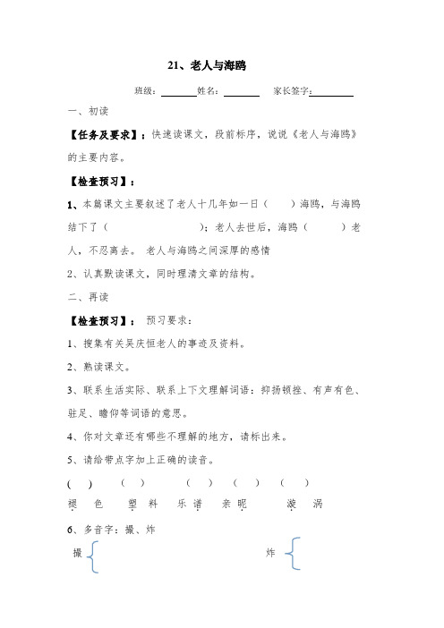 第21课 老人与海鸥学讲稿