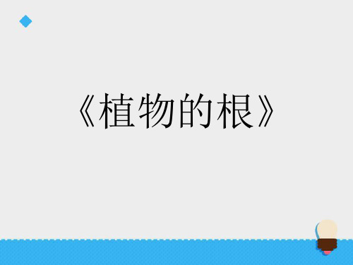 青岛版科学四年级上册《植物的根》课件