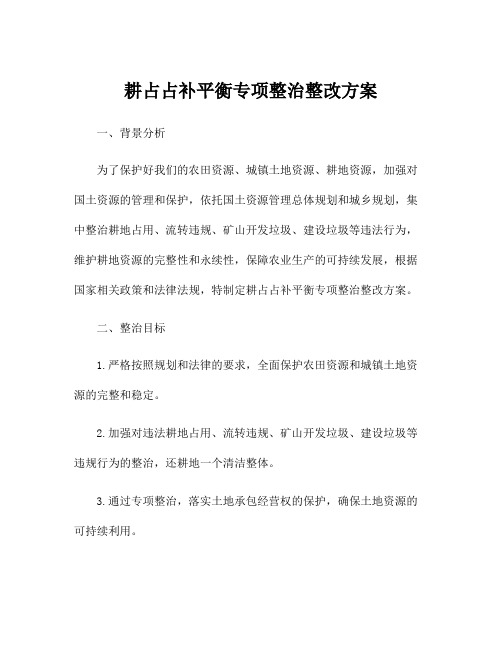 耕占占补平衡专项整治整改方案