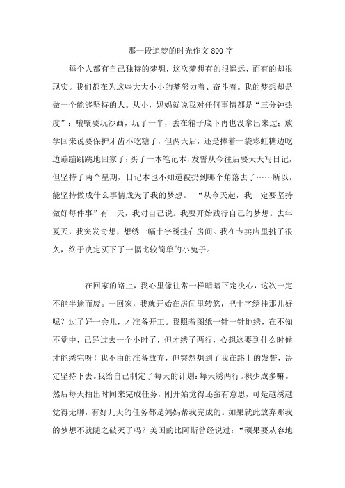 那一段追梦的时光作文800字