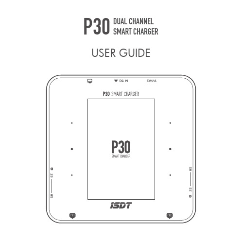 P30双通道智能充电器使用手册说明书