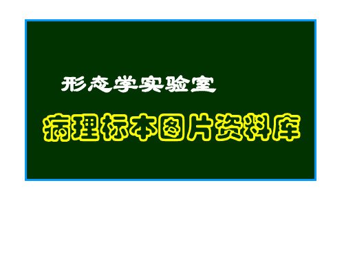 病理大体标本图片库 (145页)