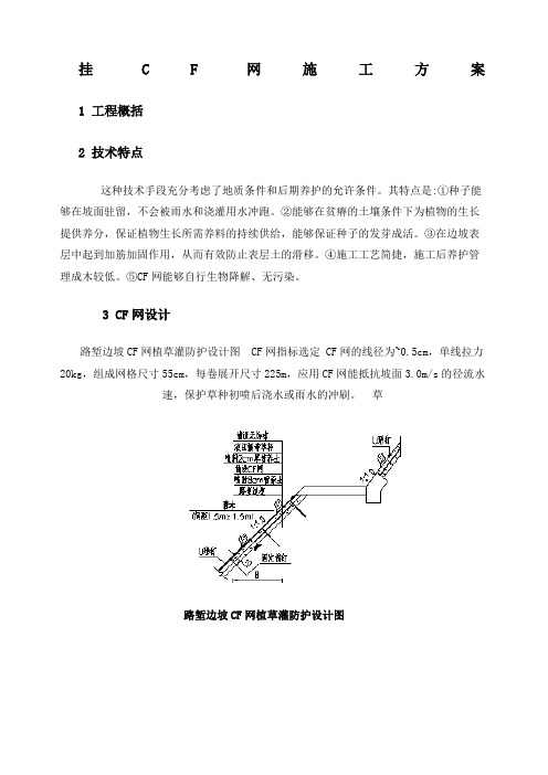 挂CF网护坡施工