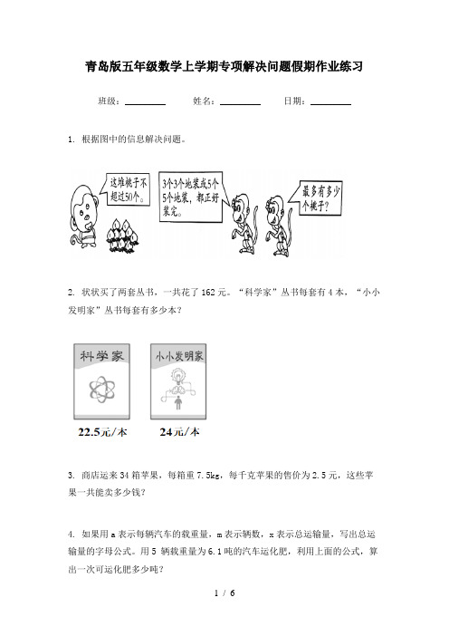 青岛版五年级数学上学期专项解决问题假期作业练习