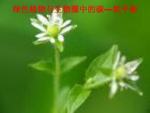 绿色植与生物圈中的碳氧平衡