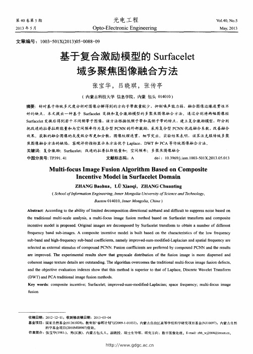 基于复合激励模型的Surfacelet域多聚焦图像融合方法