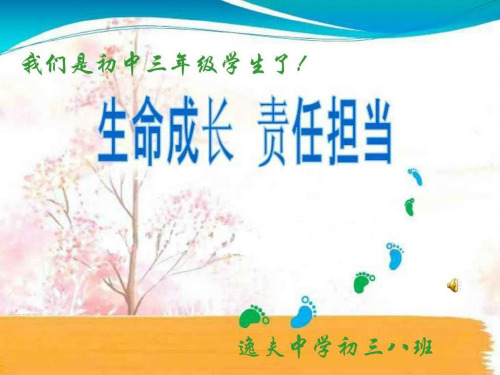 《责任与担当》主题班会54077 ppt课件