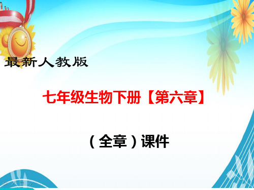 最新人教版七年级生物下册【第六章(全章)    人体生命活动的调节】部编版PPT教学课件