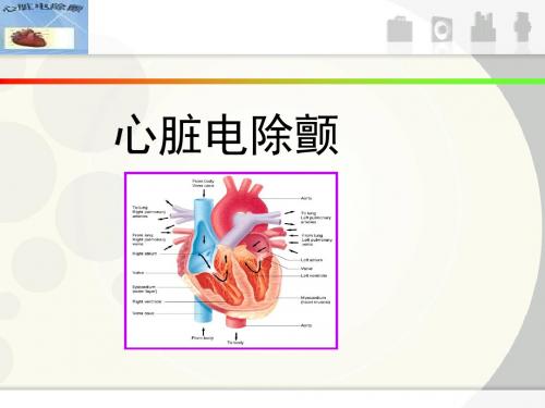 心脏电除颤