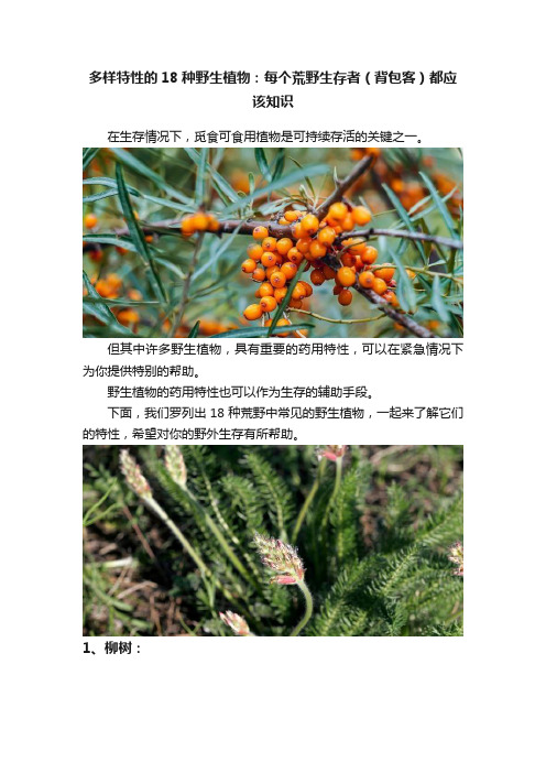 多样特性的18种野生植物：每个荒野生存者（背包客）都应该知识