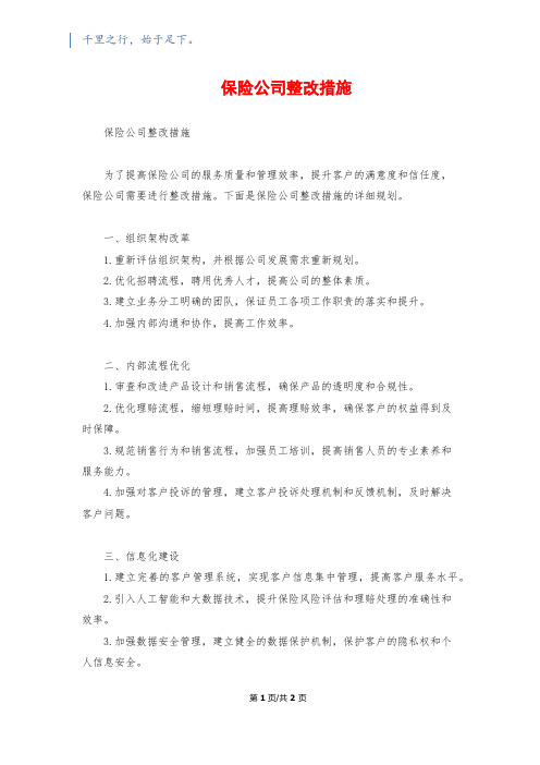 保险公司整改措施