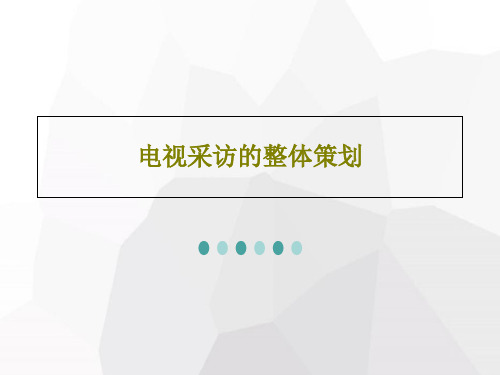 电视采访的整体策划共33页文档