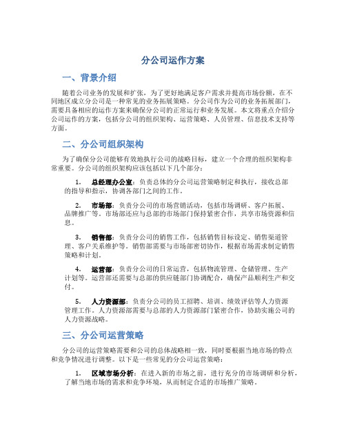 分公司运作方案