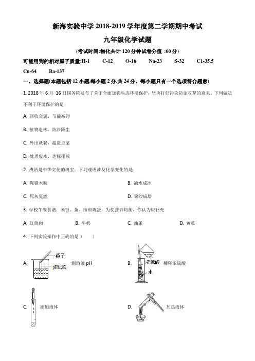 ：江苏省连云港市海州区新海实验中学2018-2019学年九年级下学期期中化学试题(原卷版)