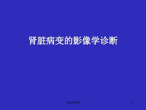 肾脏病变影像诊断PPT课件