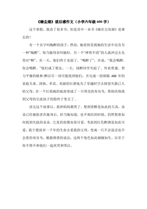 《睡尘湖》读后感作文(小学六年级600字).doc