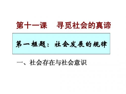 11.1社会发展的规律