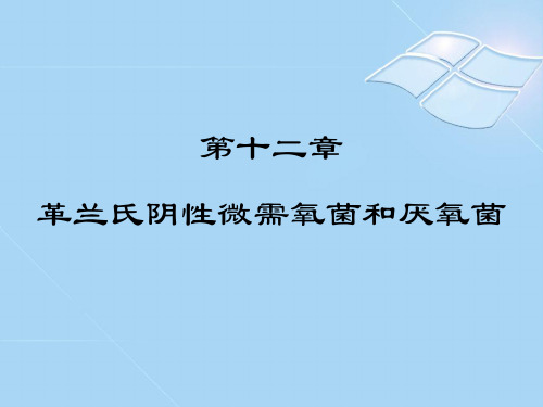 第十二章 革兰氏阴性微需氧菌和厌氧菌