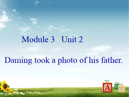 外研版五年级英语上M3U2 Daming took a photo of his father.课件