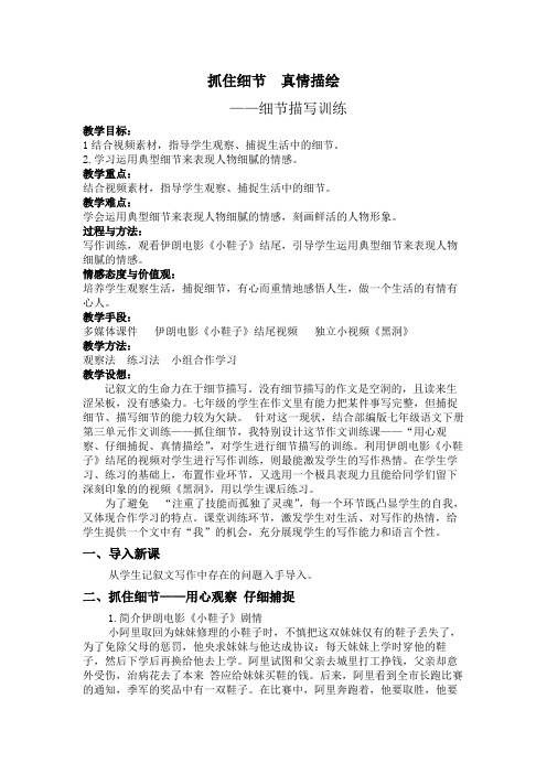 抓住细节 (最新教案教学设计)