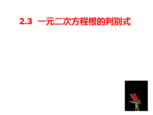 北师大版数学九年级上册2.3.2一元二次方程根的判别式课件