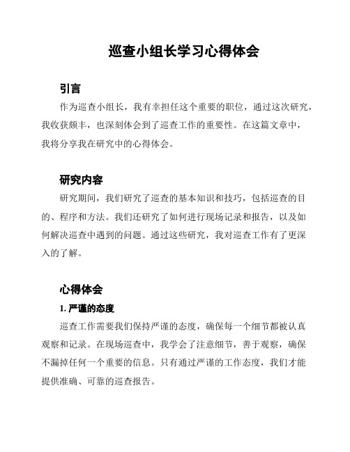 巡查小组长学习心得体会