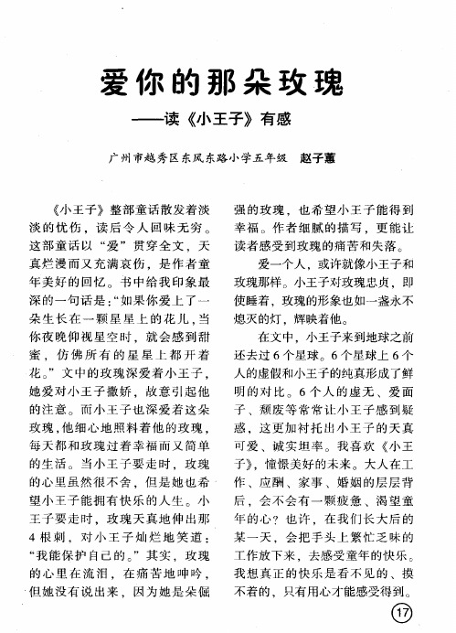 爱你的那朵玫瑰——读《小王子》有感