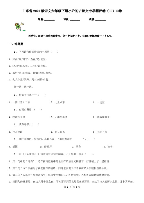 山东省2020版语文六年级下册小升初古诗文专项测评卷(二)C卷