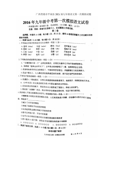 广西贵港市平南县2021届九年级语文第一次模拟试题(扫描版)