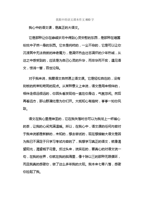 我眼中的语文课本作文800字