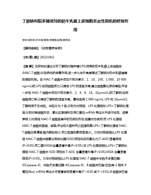 丁酸钠对脂多糖诱导的奶牛乳腺上皮细胞系炎性损伤的修复作用