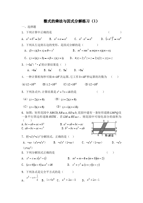 (完整版)专题整式乘法与因式分解练习题