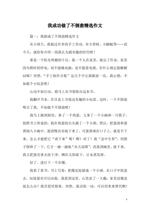 我成功做了不倒翁精选作文