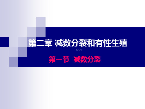 苏教版生物必修二全册课件及相关