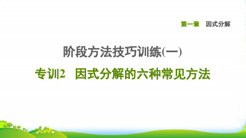 八年级数学上册第一章因式分解阶段方法技巧训练(一)专训2因式分解的六种常见方法鲁