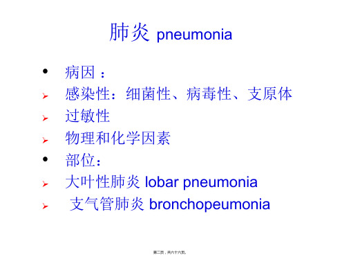 呼吸系统影像学第二部分